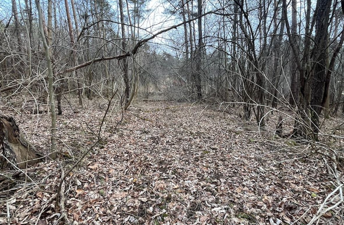 Yates_11.492_Mezer Photo 5