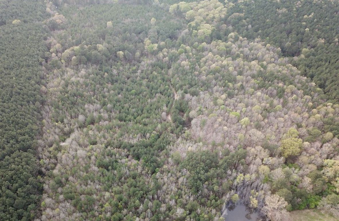 DJI_0951