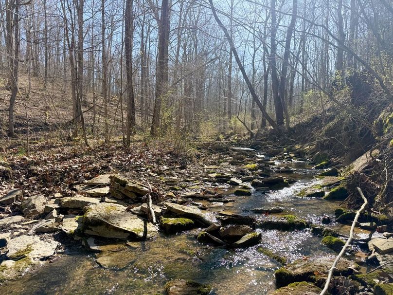 Fleming Petry 120-069