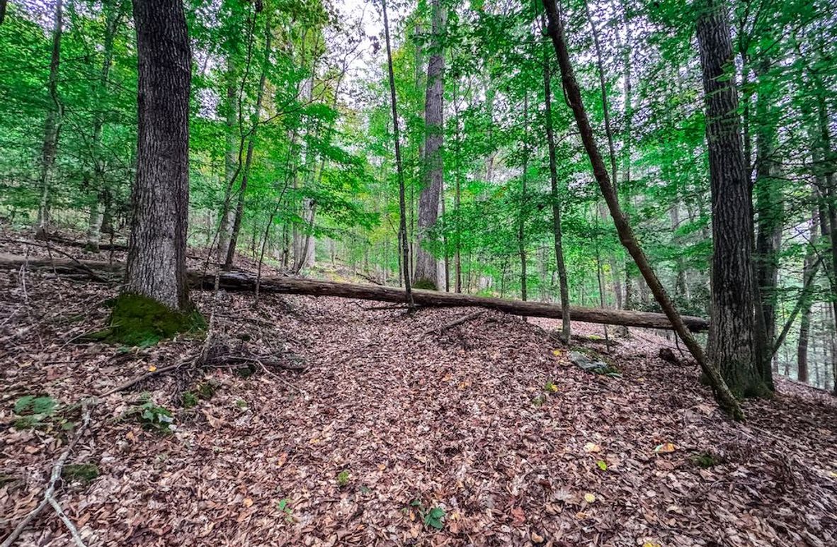 Webster, WV 13.8 AC Heldreth-05