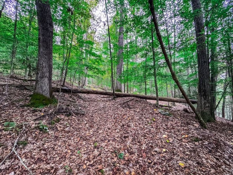 Webster, WV 13.8 AC Heldreth-05