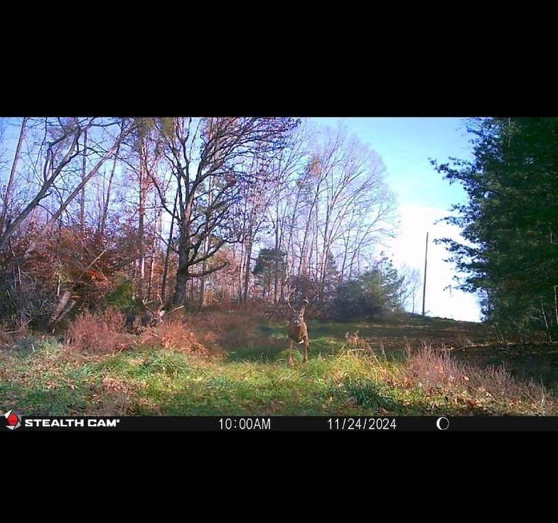 trailcam27