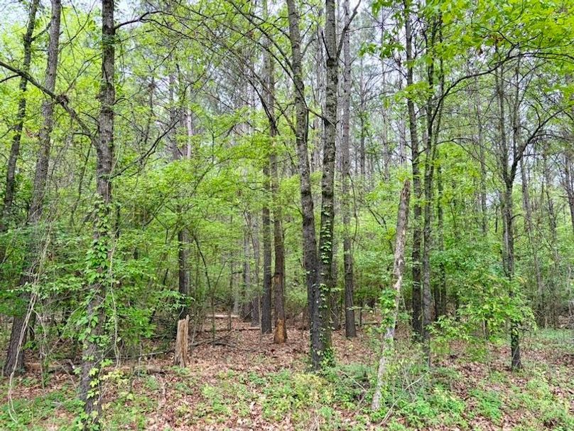 D43AA109-7BF9-437D-B9E6-90BCE25E7F35_1_105_c