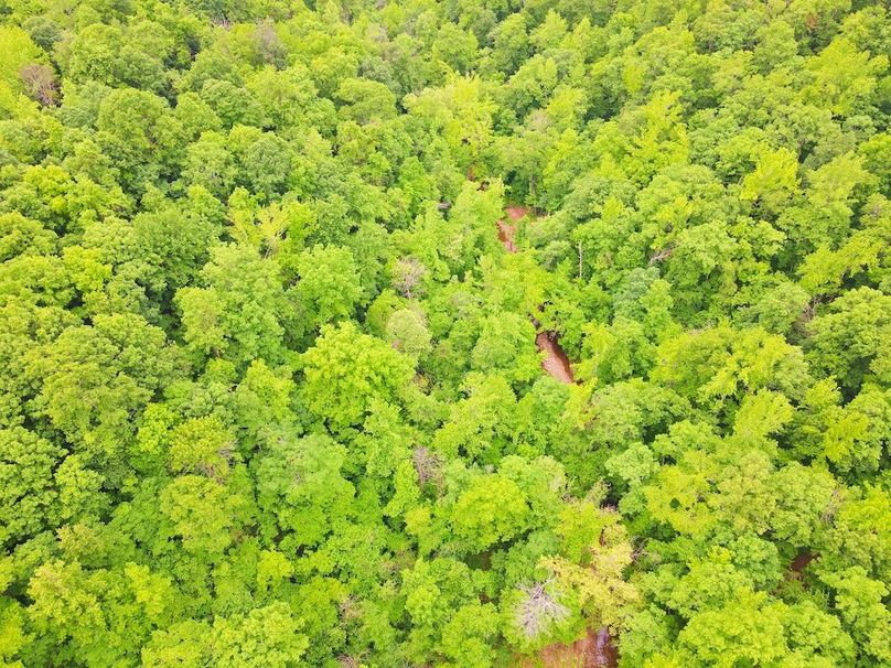 DJI_0349