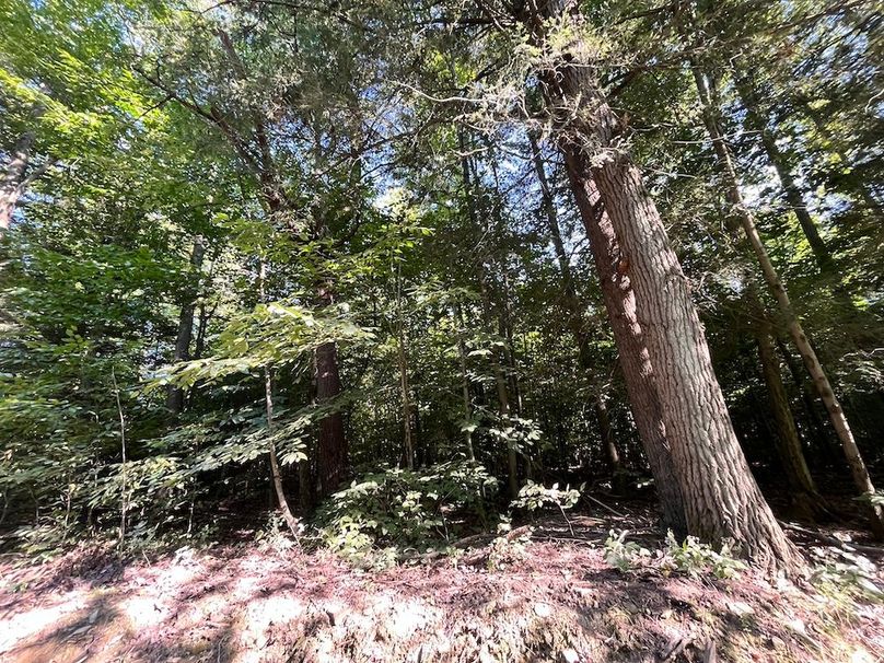 Chemung_20.000_Rouseland_Lot3_Photos_8