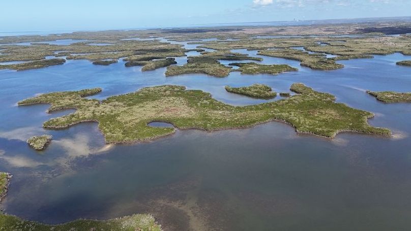 17.17ac, Citrus, Josiah Ronco27