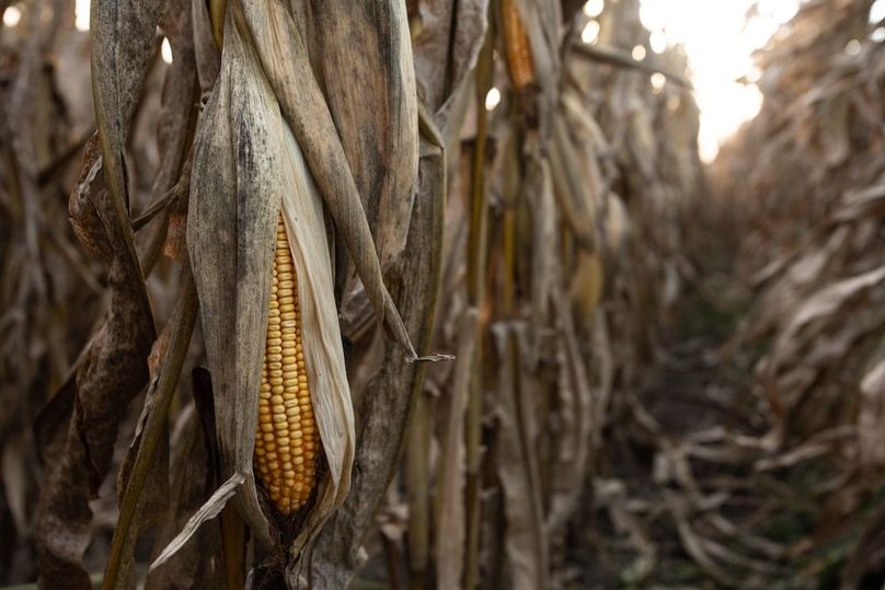 Copy of MILLS CO IA 51.37 - TRACT 2_5