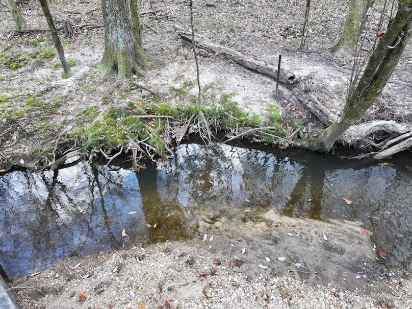 dji_fly_20260220_142526_0271_1771638825208_photo