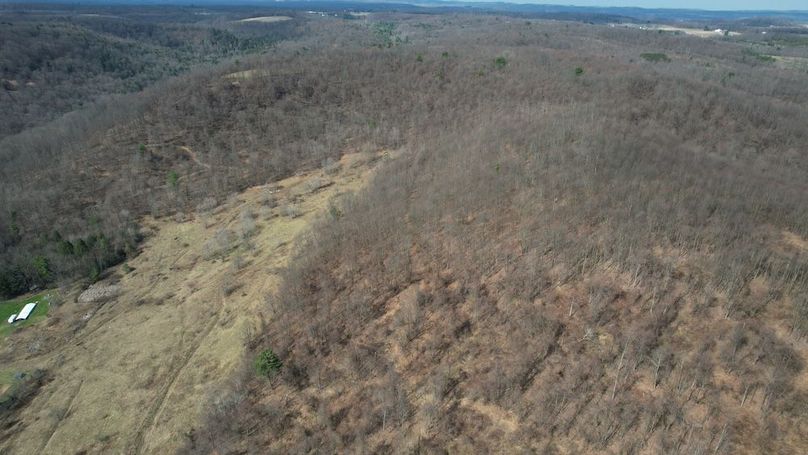 dji_fly_20260330_112724_222_1774884961812_photo