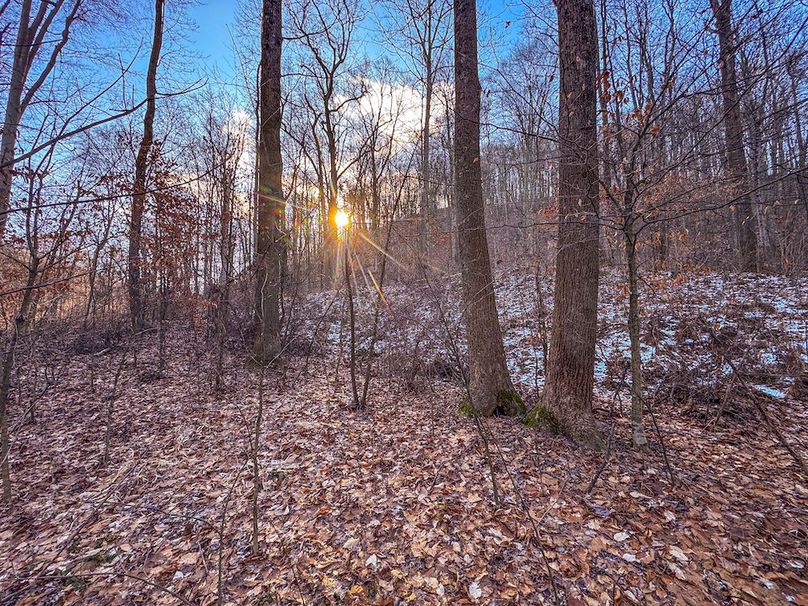 Pleasants, WV 81 AC Barron-08