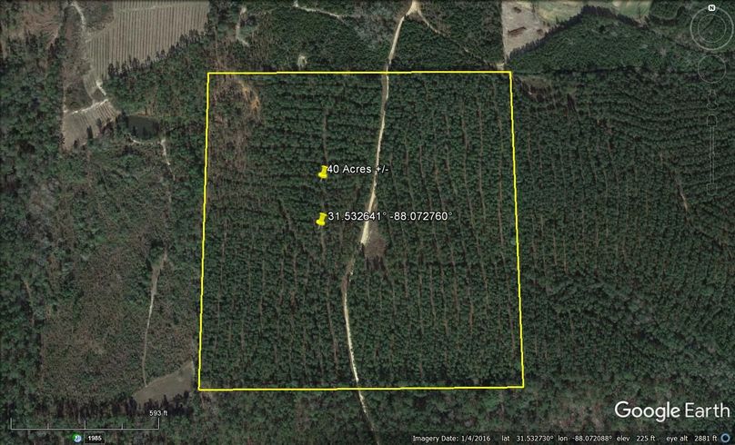 Aerial #1 Approx. 40 Acres Washington County, AL