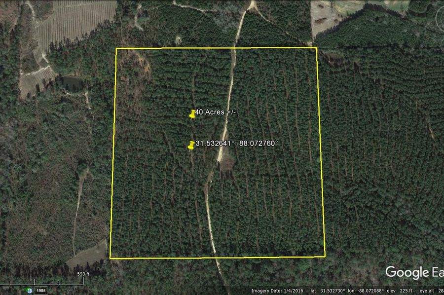 Aerial #1 Approx. 40 Acres Washington County, AL