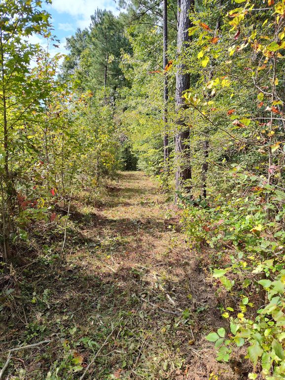 IMG_20231009_132738073_HDR