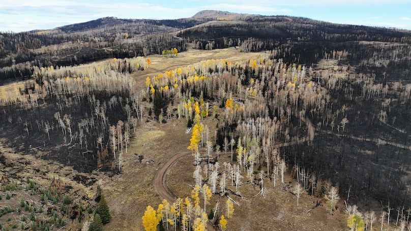 DJI_20250927084757_0091_D