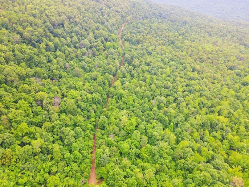 DJI_0356