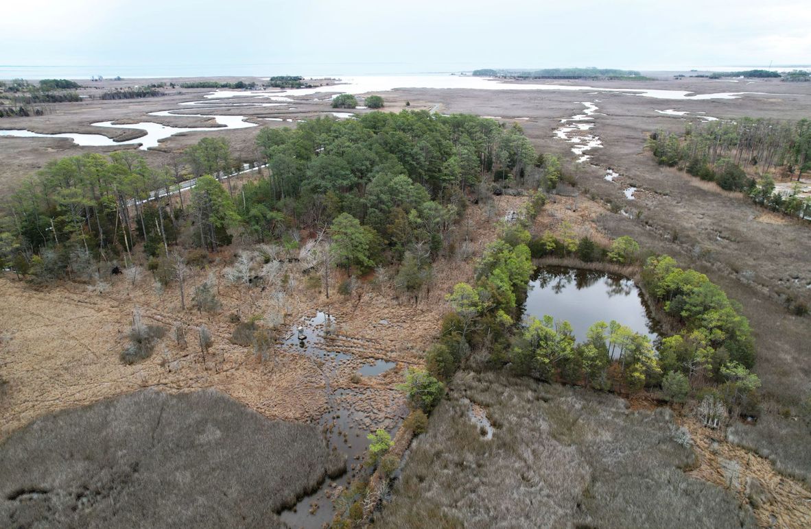 80.38ac_TediousCreekRd_FarFeederSM