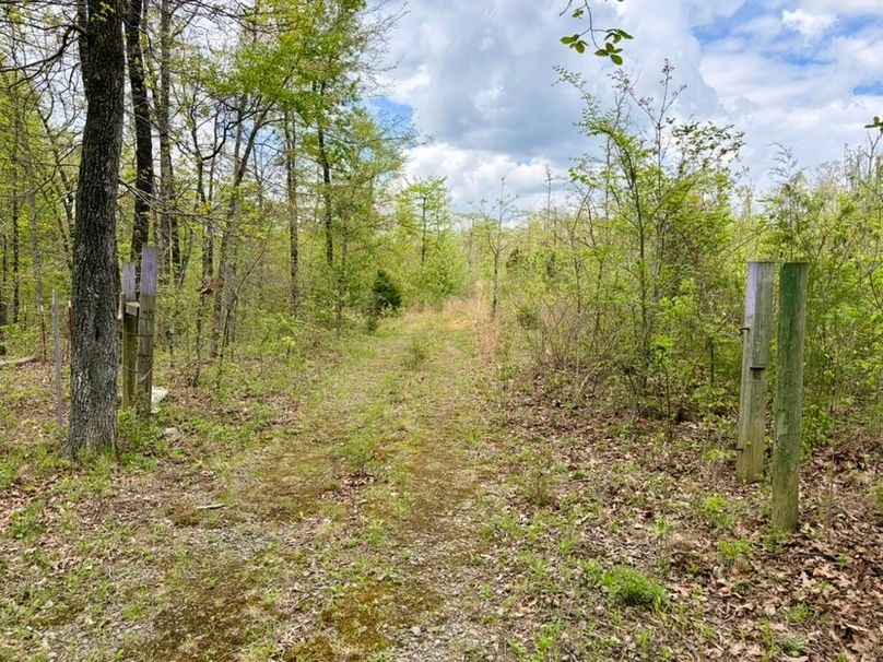 29D0A556-4CCE-4FD7-915F-DF76B8A760EC_1_105_c-2