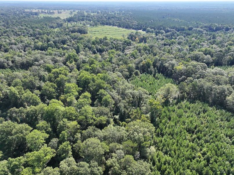 dji_fly_20250903_101942_0405_1757089039790_photo