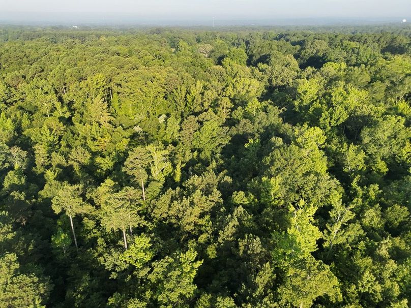 DJI_20250627072902_0044_V