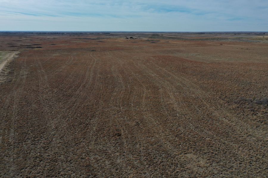 DJI_0092