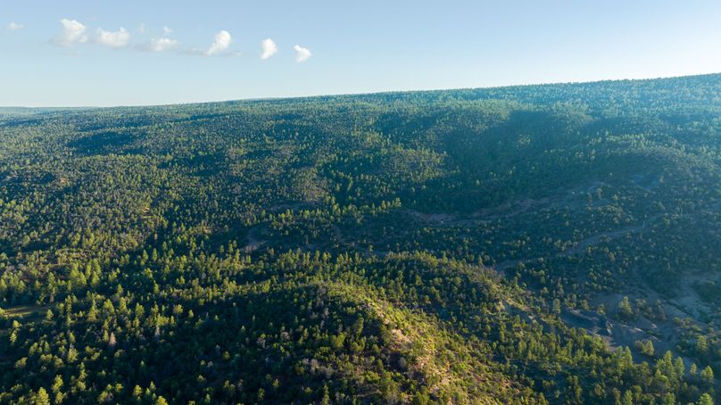 Cibola NM 13,053--144