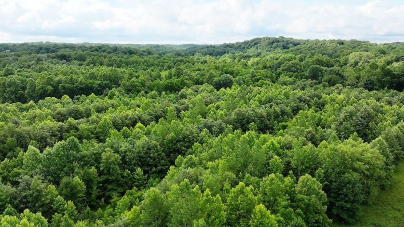 dji_fly_20250619_095744_0321_1750342106357_photo