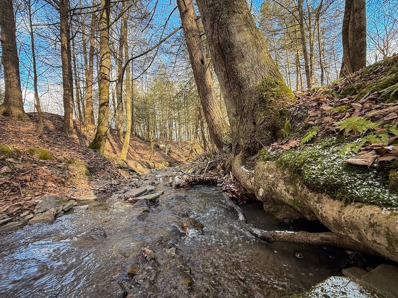 Chemung_59.65_Kocsis_photos_26