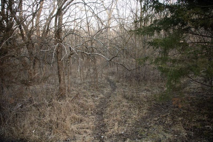 MONTGOMERY CO IA 156.78_50