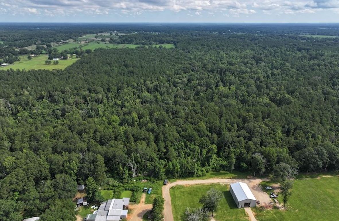 dji_fly_20250624_100222_0128_1750950818827_photo