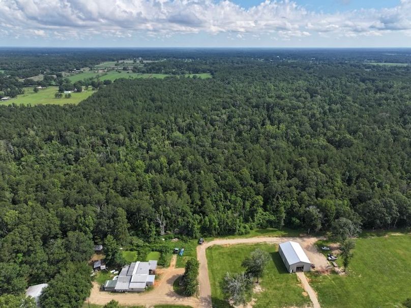 dji_fly_20250624_100222_0128_1750950818827_photo