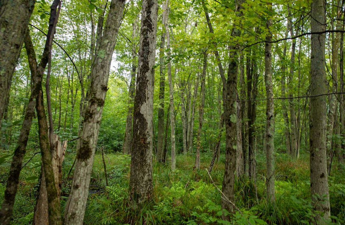 Oceana 80 132nd Ave-4