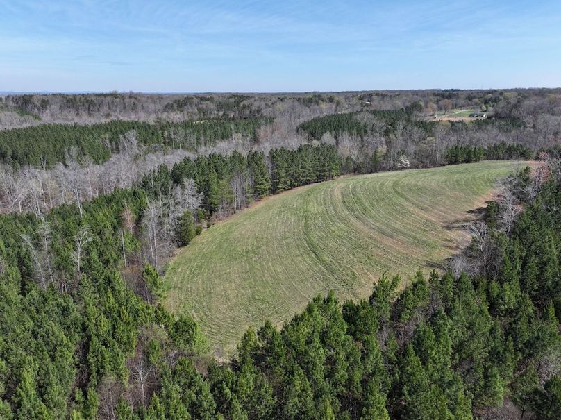 dji_fly_20260325_115748_0652_1774539291871_photo