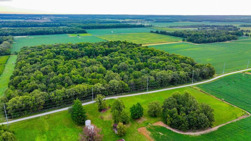 DJI_20240821065500_0001_D