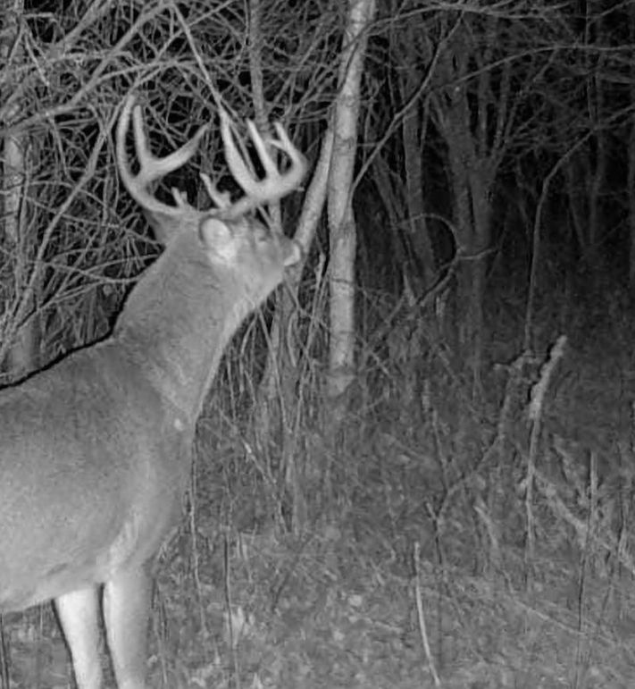 Screenshot_20220725-184203_Gallery