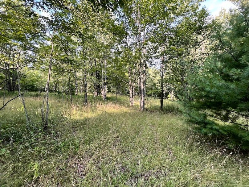 Chemung_78.26+Gutchess_Lumber_Photos_20