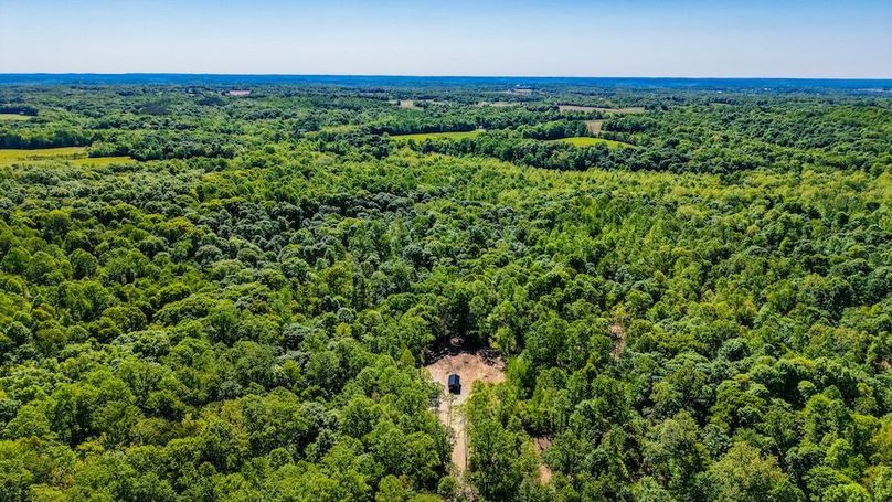 dji_fly_20260511_104720_0066_1778511521715_photo