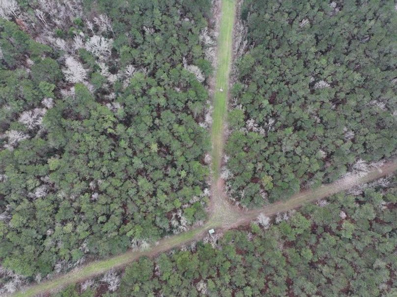 dji_fly_20260123_112032_0908_1769444790181_photo