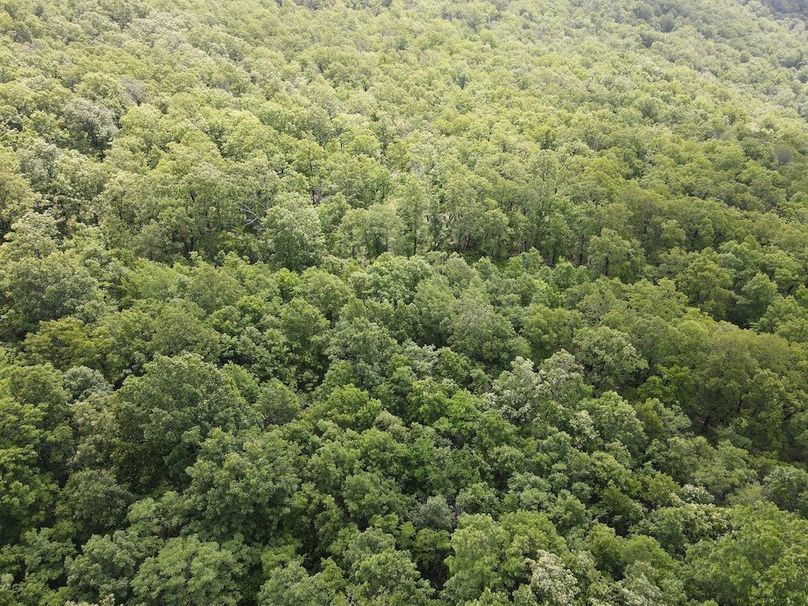 DJI_0376