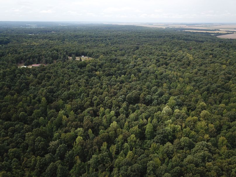 DJI_0053