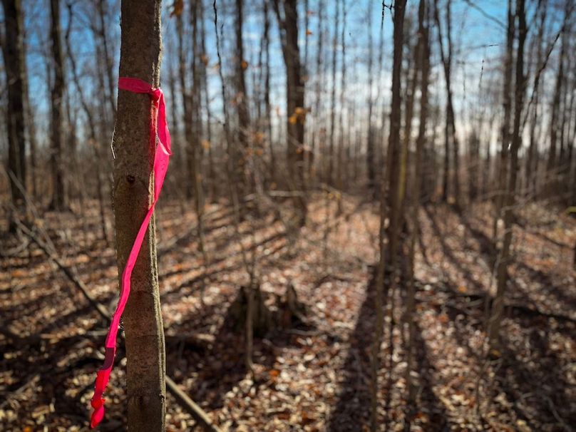 Chemung_31.75_Seymour_South_Photos_25