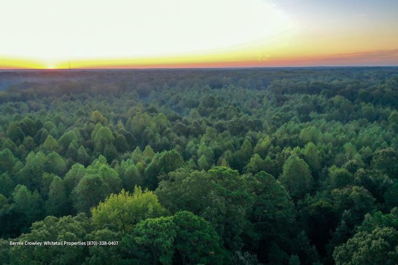 DeSoto 329 Prewett (Thompson) -12