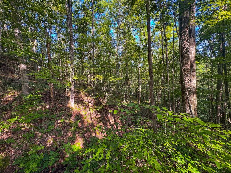 Lewis, WV 82.87 AC Barger-105