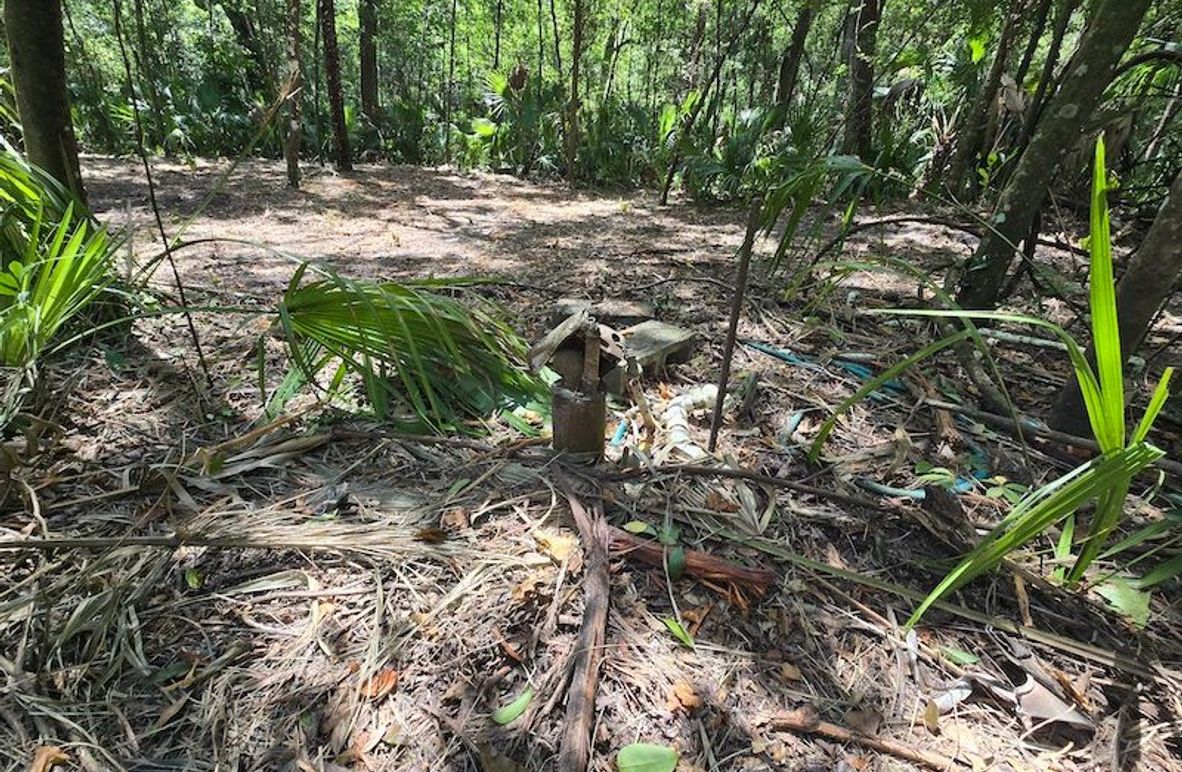 1.01ac, Citrus, Josiah Ronco04