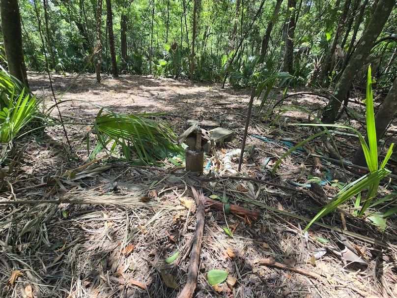 1.01ac, Citrus, Josiah Ronco04