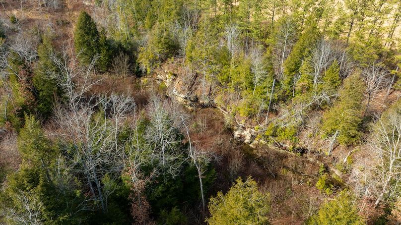 DJI_0668
