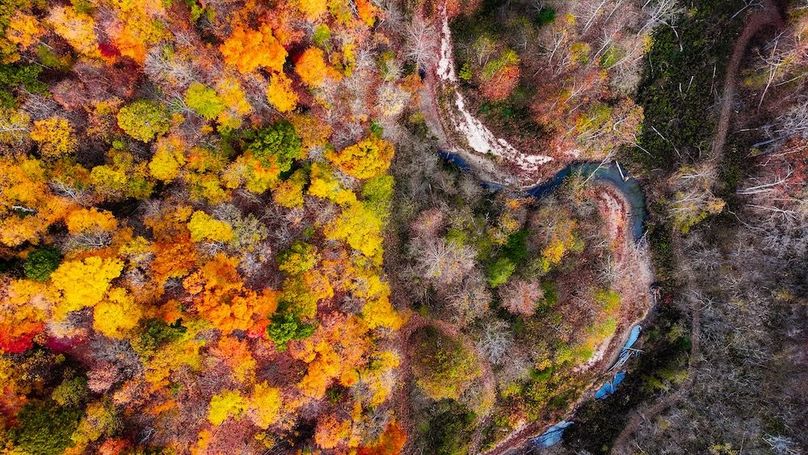 dji_fly_20251102_094900_0750_1762096000274_photo