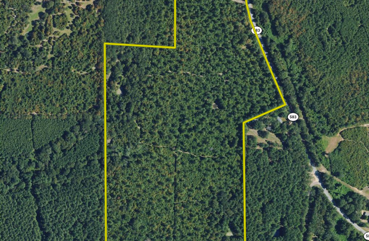 74 ac. Walthall co. Aerial