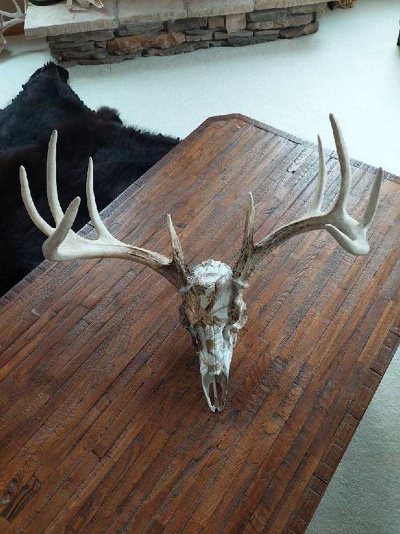 Sauk 174 Trailcam - 5