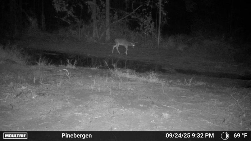 2365951-20250925072422-100MFCAM_MFDC1109