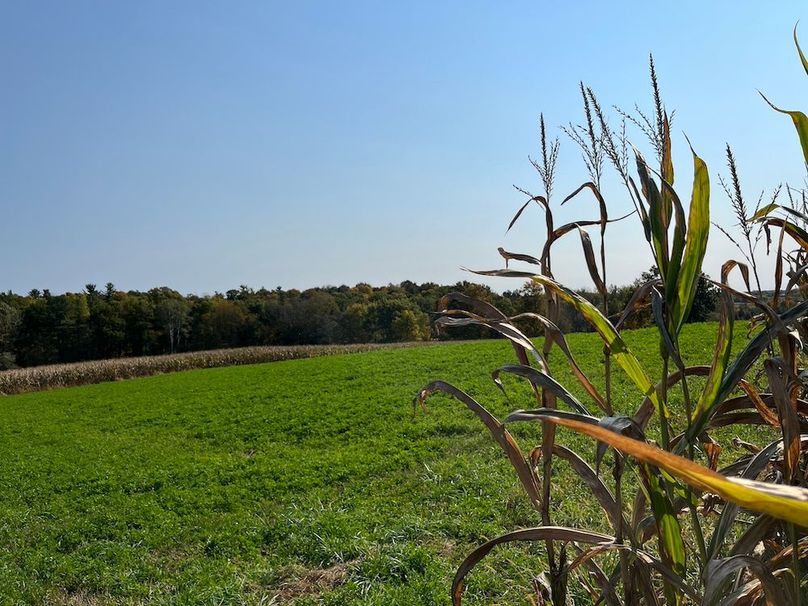 Yates_29_Stape Photo 29